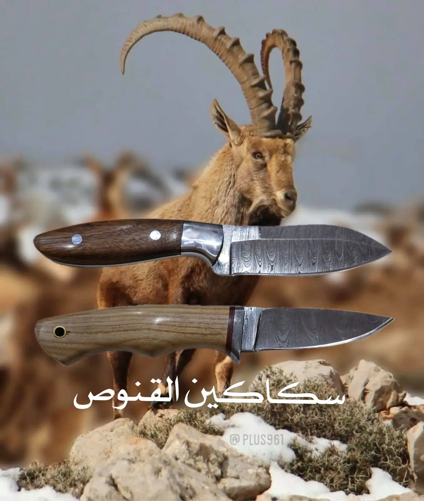سكاكين القناص العربي