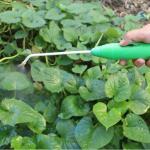 شطاف المسافر الصغير