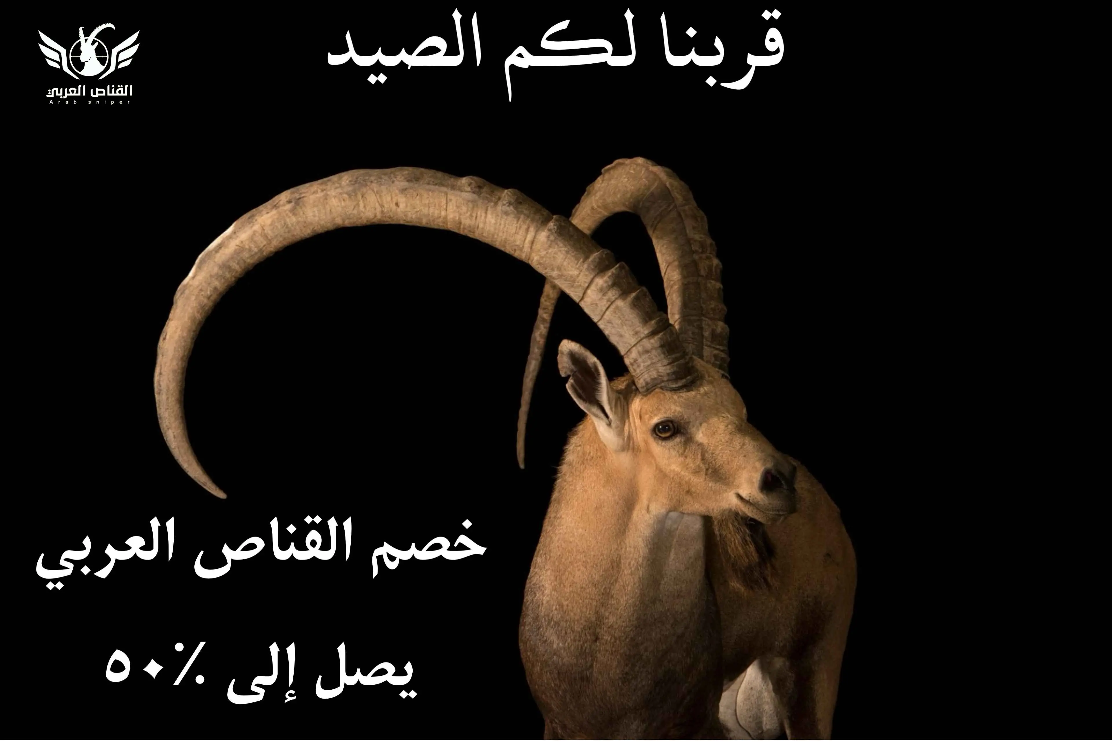 عرض ترويجي